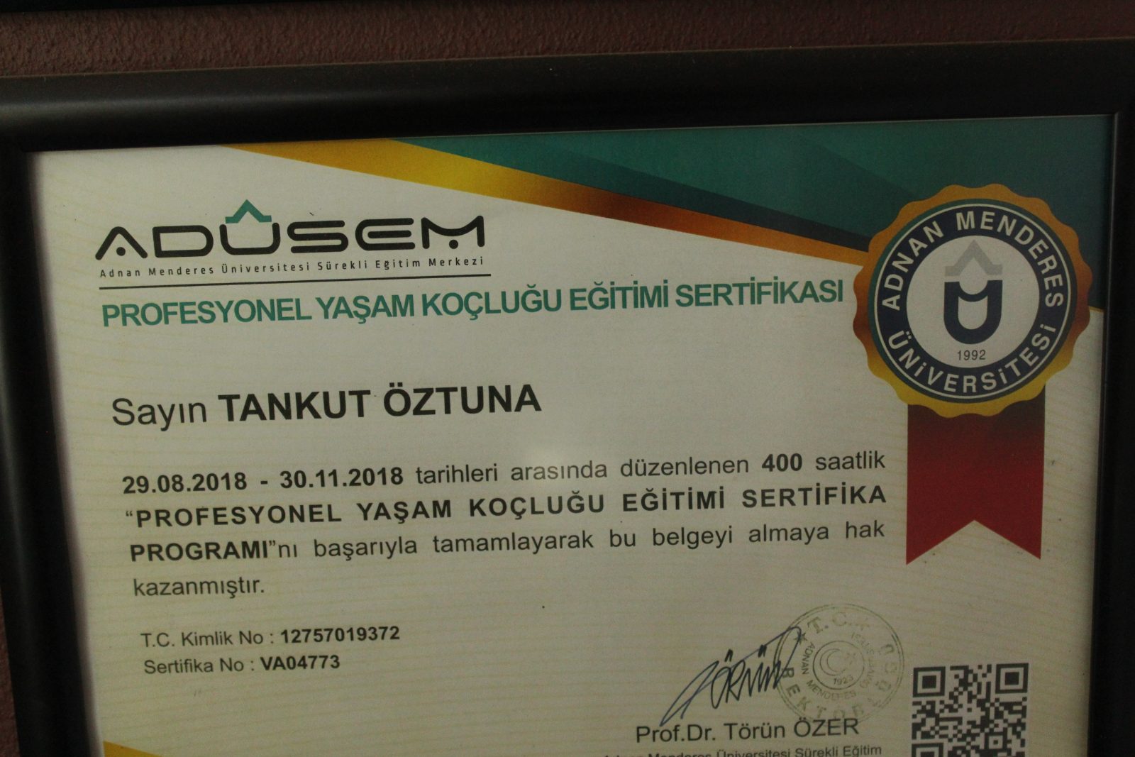 Profesyonel Yaşam Koçluğu